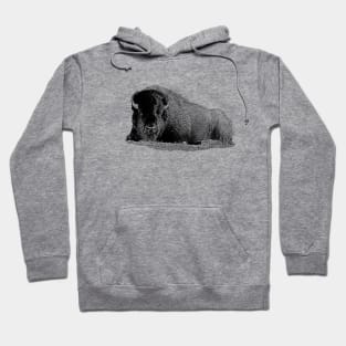 Lying bison Hoodie